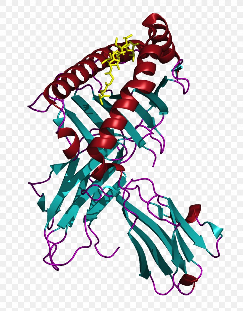 MLANA Human Leukocyte Antigen Major Histocompatibility Complex MHC Class I, PNG, 970x1243px, Watercolor, Cartoon, Flower, Frame, Heart Download Free