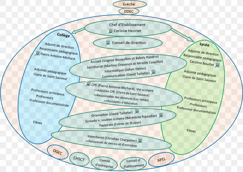 Water Diagram Organism Line, PNG, 1673x1185px, Water, Area, Diagram, Joint, Organism Download Free