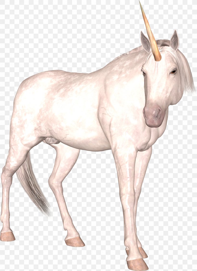 Horse The Lady And The Unicorn Illustration, PNG, 1699x2336px, Young Woman With Unicorn, Animal, Cartoon, Colt, Editing Download Free