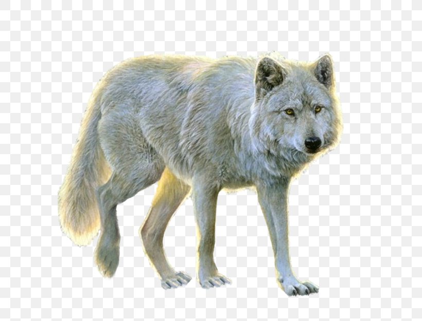 Arctic Wolf Clip Art, PNG, 750x625px, Dog, Arctic Wolf, Black Wolf, Canis Lupus Tundrarum, Carnivoran Download Free