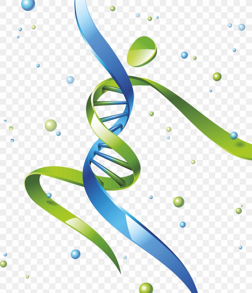 DNA Nucleic Acid Double Helix Gene Homo Sapiens, PNG, 4954x5755px, Dna, Cell, Gene, Genetics, Green Download Free