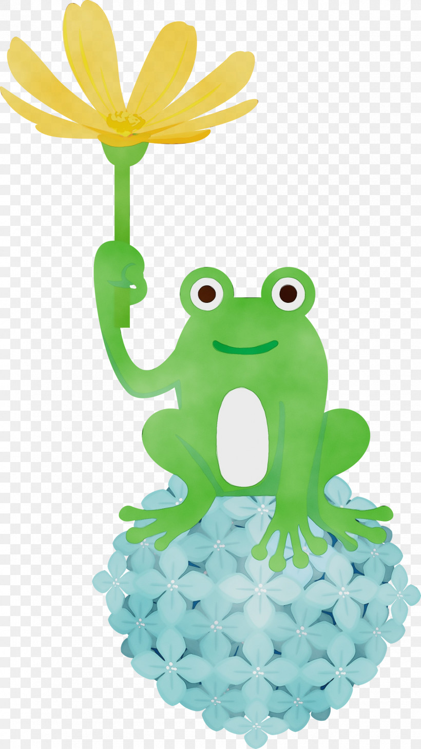 Frogs Tree Frog Green Cartoon Science, PNG, 1686x3000px, Frog, Biology, Cartoon, Frogs, Green Download Free