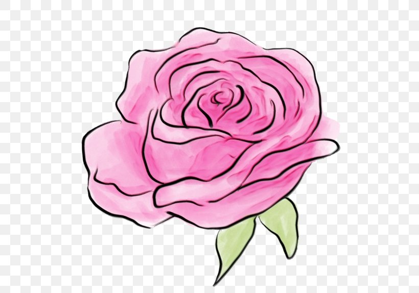 Garden Roses, PNG, 600x574px, Watercolor, Floribunda, Flower, Garden Roses, Hybrid Tea Rose Download Free