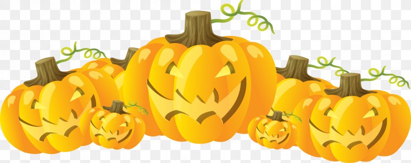 Pumpkin Halloween Jack-o-lantern Party, PNG, 2379x947px, Pumpkin, Calabaza, Cucurbita, Food, Fruit Download Free