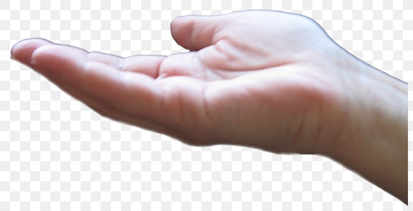 Thumb Hand Model Close-up, PNG, 800x419px, Thumb, Arm, Closeup, Finger, Hand Download Free