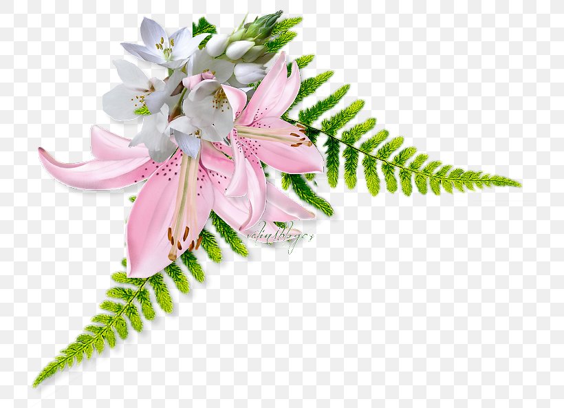 Cut Flowers Web Browser Petal, PNG, 734x593px, Flower, Cut Flowers, Flower Bouquet, Flowering Plant, Leaf Download Free
