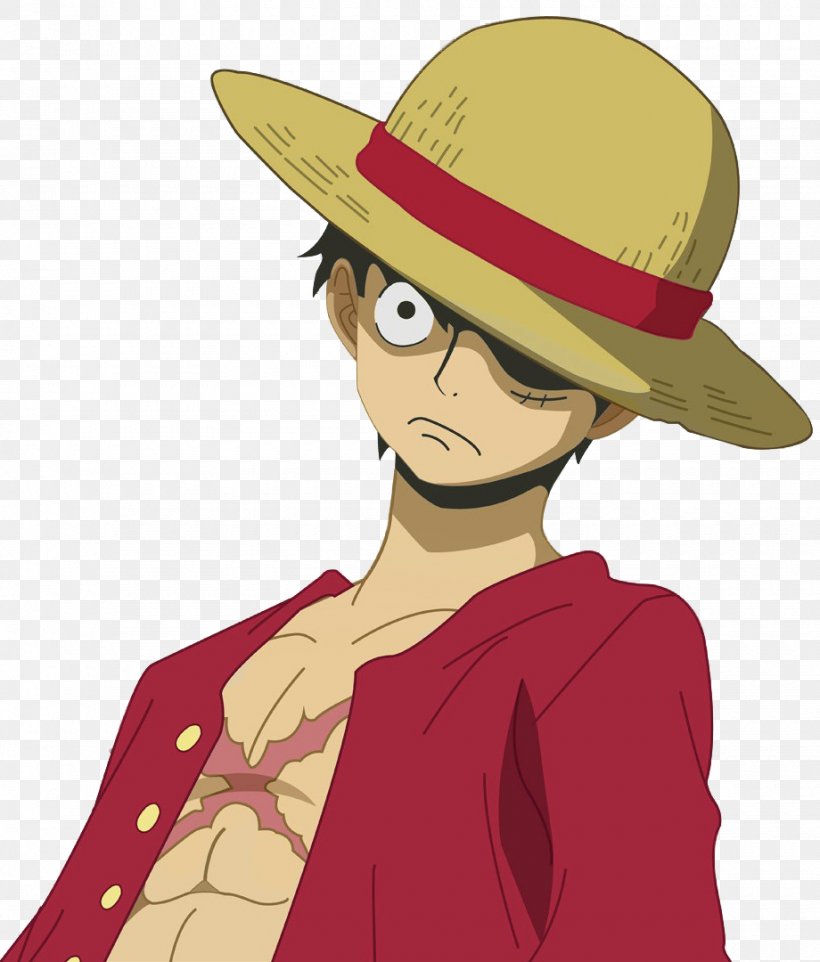 Monkey D. Luffy One Piece: Pirate Warriors Roronoa Zoro Vinsmoke Sanji