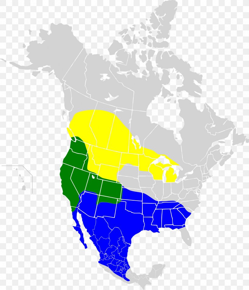 United States Map The Whooping Crane American Bison Spotted Bat, PNG, 1712x1992px, United States, American Bison, Area, Bison, Common Poorwill Download Free