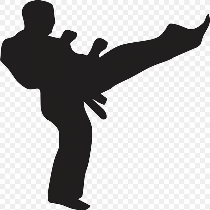 Chinese Martial Arts Karate Kick Sport, PNG, 1911x1920px, Martial Arts, Arm, Black And White, Black Belt, Chinese Martial Arts Download Free