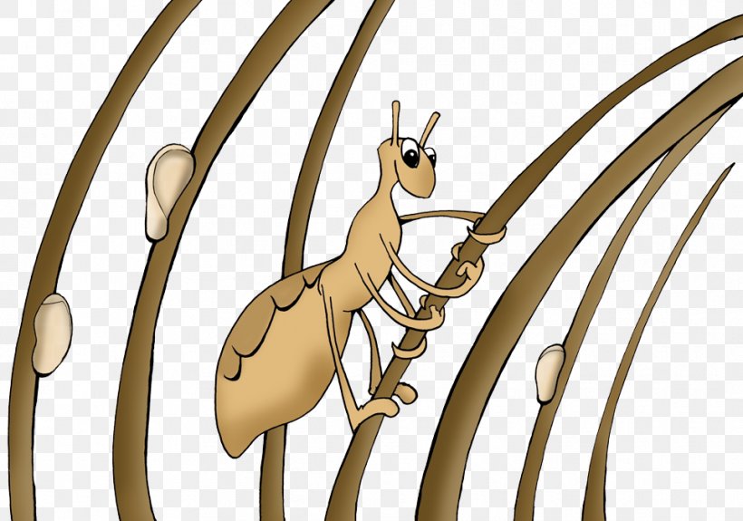 Head Louse Insect Liendre Child, PNG, 964x677px, Louse, Animal, Carnivoran, Cartoon, Child Download Free