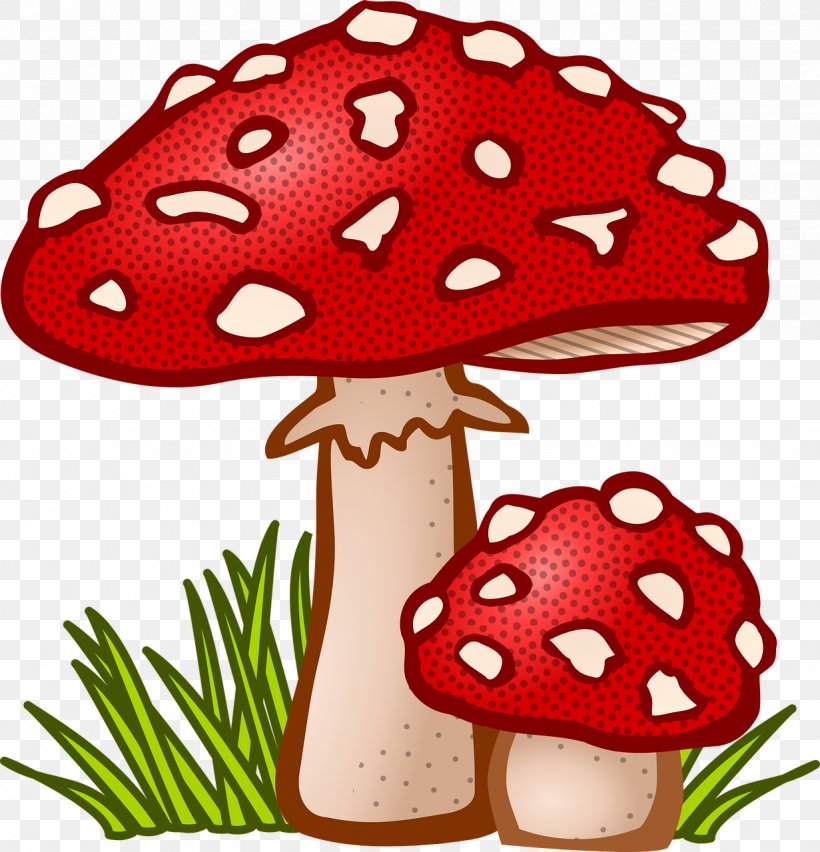 Mushroom Fungus Clip Art, PNG, 1231x1280px, Mushroom, Amanita Muscaria, Cartoon, Drawing, Fungus Download Free