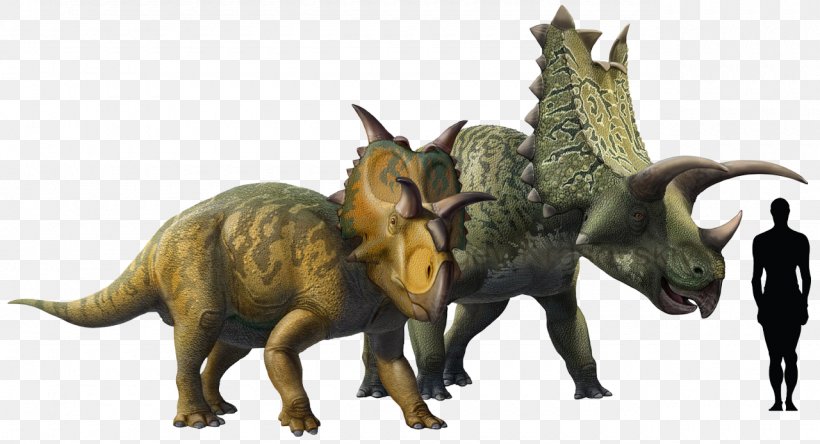 Pentaceratops Chasmosaurus Triceratops Ceratopsia Late Cretaceous, PNG, 1280x694px, Pentaceratops, Agujaceratops, Animal Figure, Arrhinoceratops, Ceratopsia Download Free