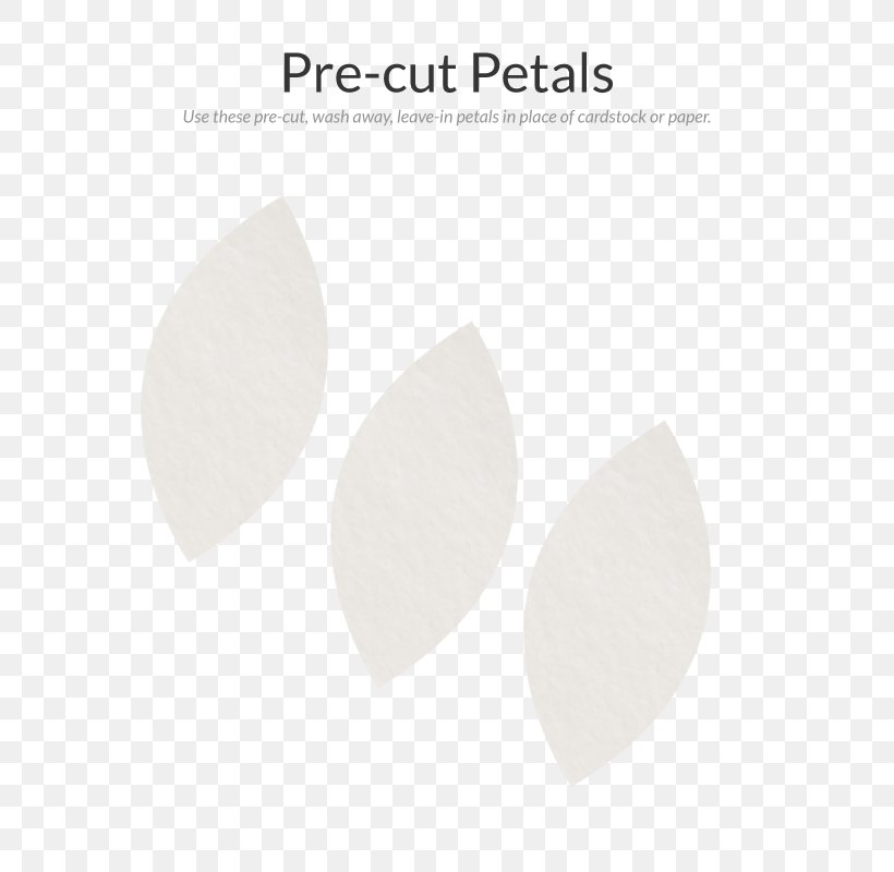 Product Design Angle, PNG, 800x800px, Petal Download Free