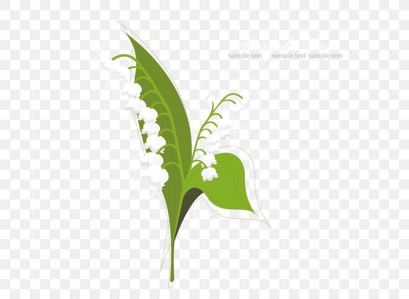 Vector Wedding Cards, PNG, 800x600px, Flower, Brand, Cdr, Drawing, Grass Download Free