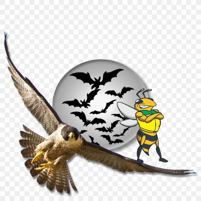 Eagle Bat Charms & Pendants Key Chains Insect, PNG, 900x900px, Eagle, Bat, Beak, Bird, Bird Of Prey Download Free
