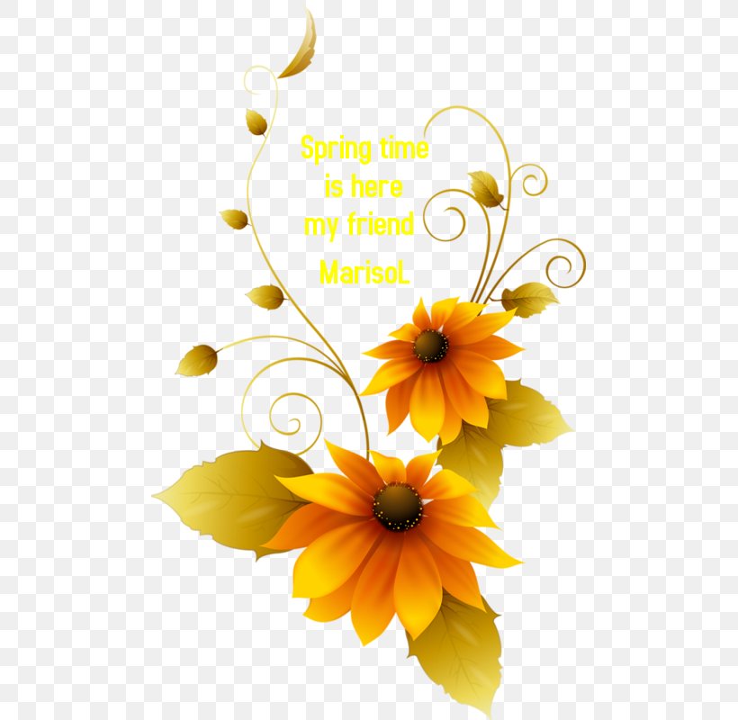 Flower Graphic Design Adobe Photoshop Graphics, PNG, 483x800px, Flower, Brush, Common Sunflower, Cut Flowers, Daisy Download Free