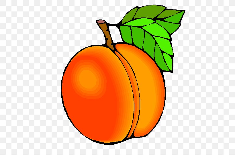 Peach Clip Art, PNG, 490x541px, Peach, Apple, Apricot, Art, Artwork Download Free
