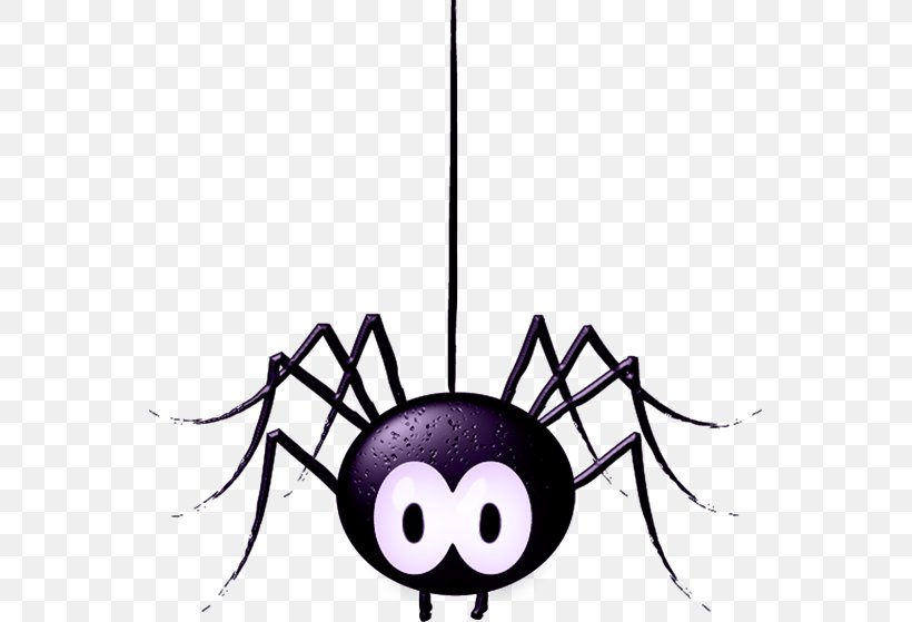 Spider Web Cartoon Clip Art, PNG, 551x559px, Spider, Cartoon, Drawing, Insect, Invertebrate Download Free