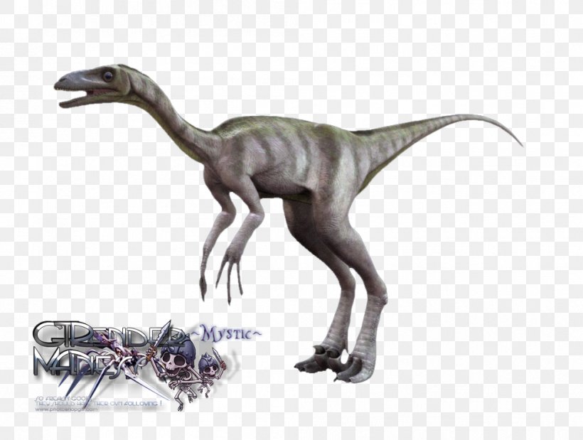 Velociraptor Troodon Tyrannosaurus Dinosaur .de, PNG, 996x752px, Velociraptor, Animal Figure, Caricature, Com, Dinosaur Download Free