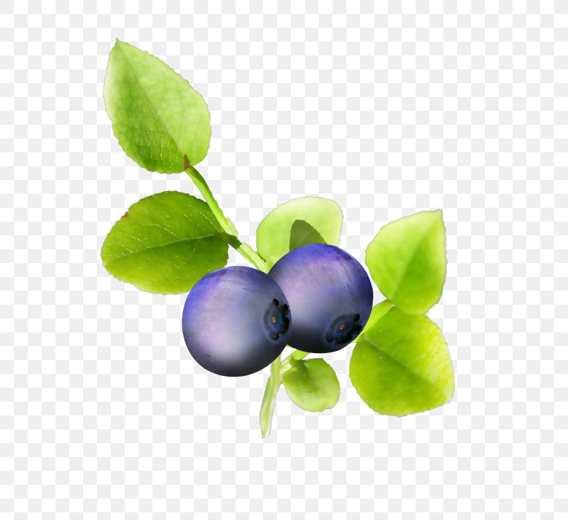 Bilberry Blueberry Violet, PNG, 800x751px, Bilberry, Berry, Blueberry, Food, Fruit Download Free