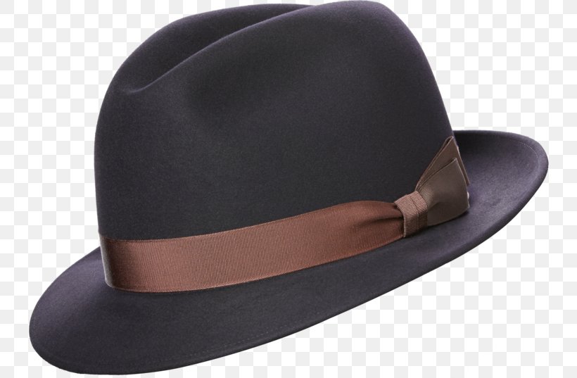 Fedora Trilby Cap Hat Clothing, PNG, 750x537px, Fedora, Baseball Cap, Boater, Cap, Clothing Download Free