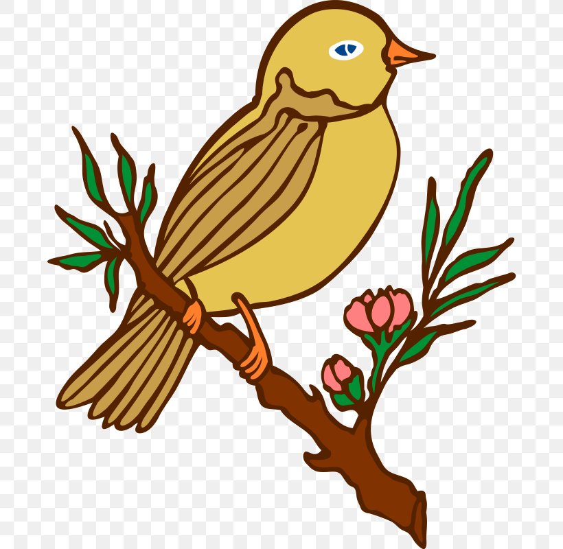 Bird Owl Poetry Clip Art, PNG, 684x800px, Bird, Animal, Artwork, Beak, Branch Download Free