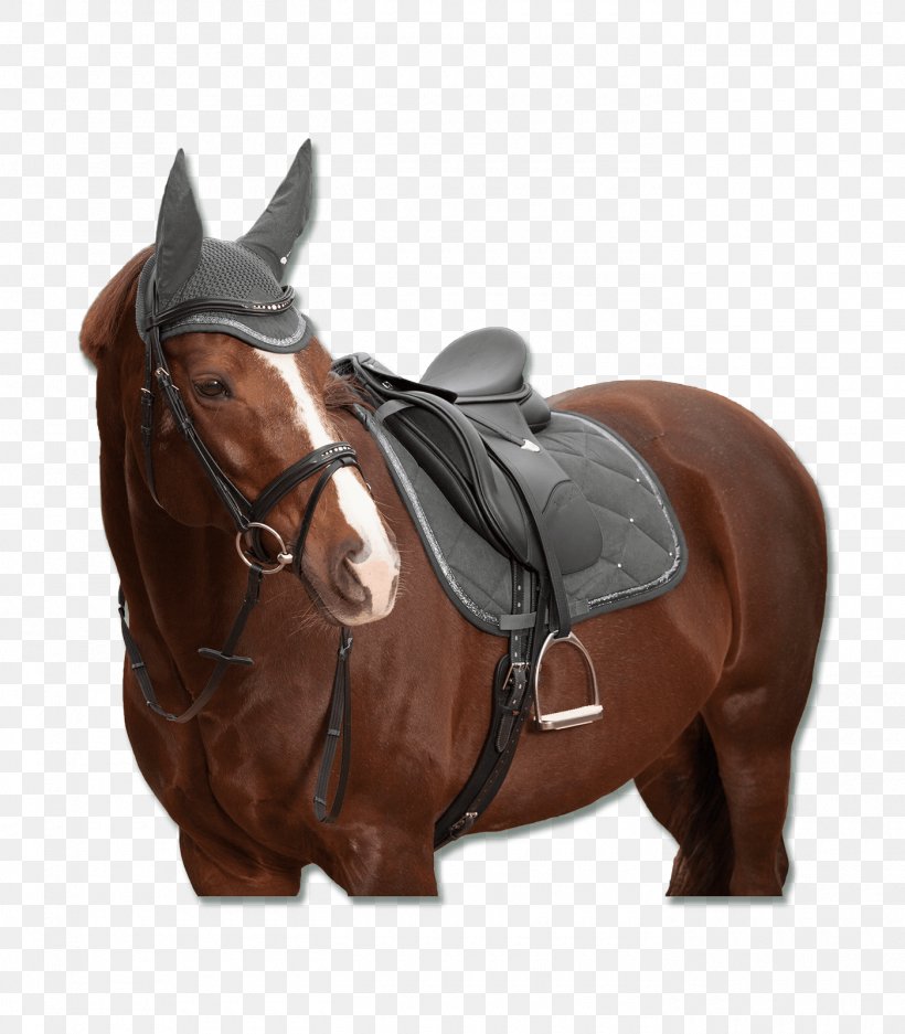 Horse Bridle Shabrack Saddle Hunt Seat, PNG, 1400x1600px, Horse, Bit, Bridle, Brown, Doma Download Free