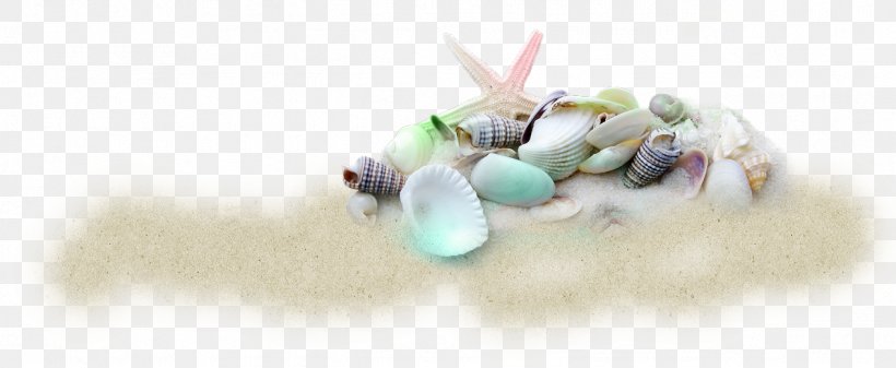 Seashell Beach Of La Concha Shell Beach, PNG, 1267x521px, Seashell, Beach, Beach Of La Concha, Bead, Body Jewelry Download Free
