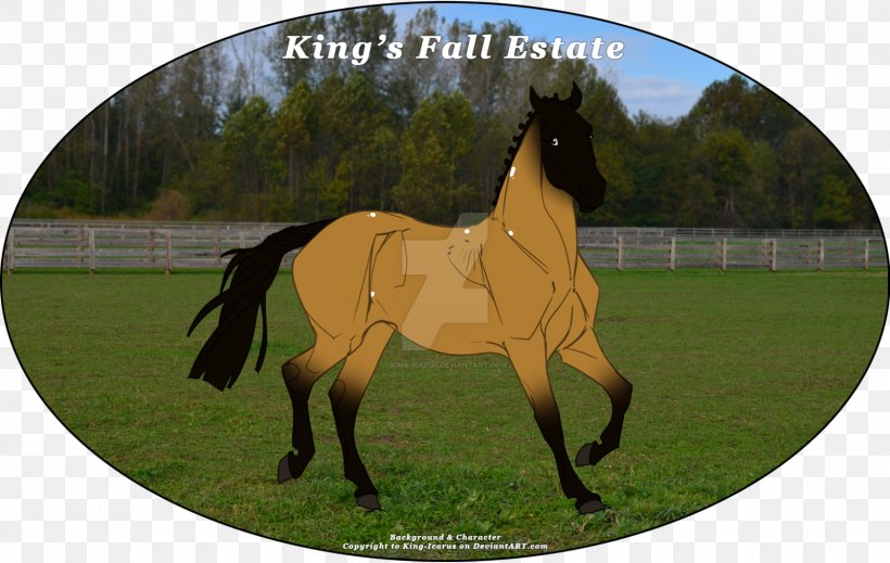 Stallion Mare Halter DeviantArt Foal, PNG, 1600x1014px, Stallion, Bridle, Colt, Deviantart, Digital Art Download Free
