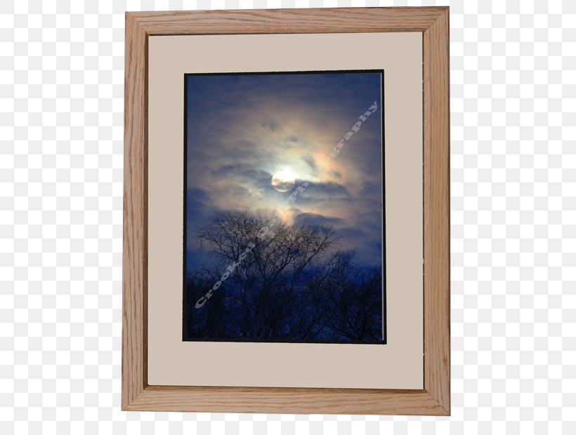 Picture Frames Window Mat Photography, PNG, 620x620px, Picture Frames, American Black Bear, Blue, Canada Goose, Color Download Free