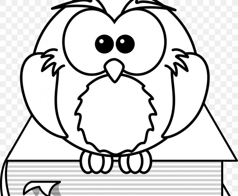 Pusheen Coloring Book Drawing Draw Birds, PNG, 1047x864px, Watercolor, Cartoon, Flower, Frame, Heart Download Free