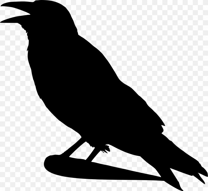 American Crow Common Raven Bird Silhouette Clip Art, PNG, 2555x2354px, American Crow, Beak, Bird, Black And White, Common Raven Download Free