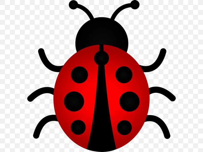 Ladybird Beetle The Ladybug Clip Art, PNG, 600x615px, Beetle, Arthropod, Drawing, Insect, Invertebrate Download Free