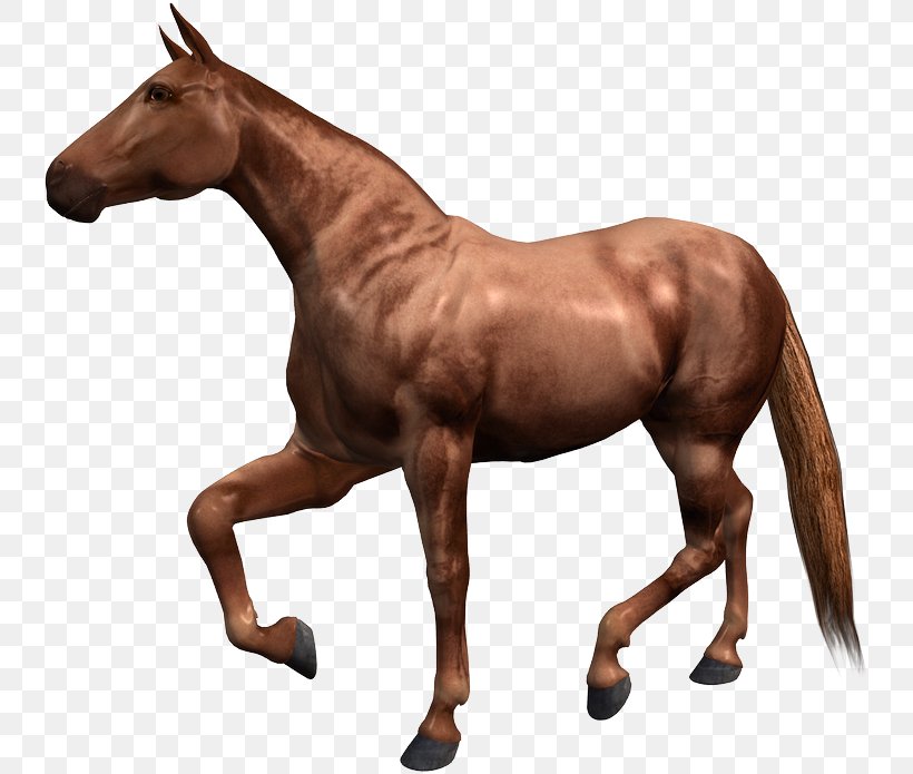 Hackney Horse Barb Horse Paso Fino Thoroughbred Courser, PNG, 743x695px, Hackney Horse, Animaatio, Animal Figure, Barb Horse, Breed Download Free