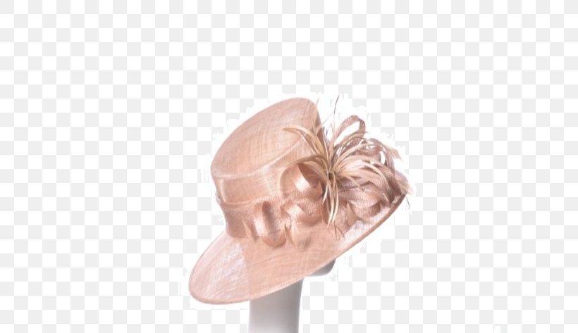 Headpiece Ear Hat, PNG, 600x473px, Headpiece, Ear, Fashion Accessory, Hair Accessory, Hat Download Free