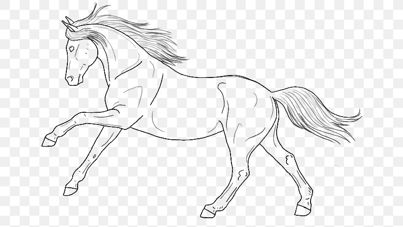 Line Art Arabian Horse Pony Mustang Foal, PNG, 670x463px, Line Art, Animal Figure, Arabian Horse, Artwork, Black And White Download Free
