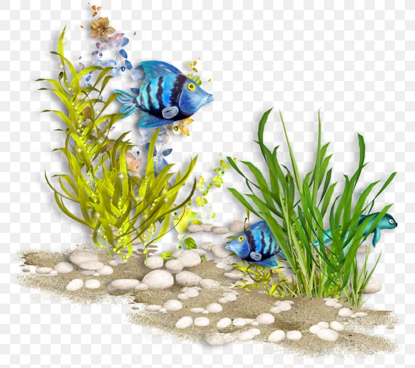 Sea Image Underwater Psd, PNG, 800x727px, Sea, Aquarium Decor, Aquatic Plant, Fish, Flower Download Free