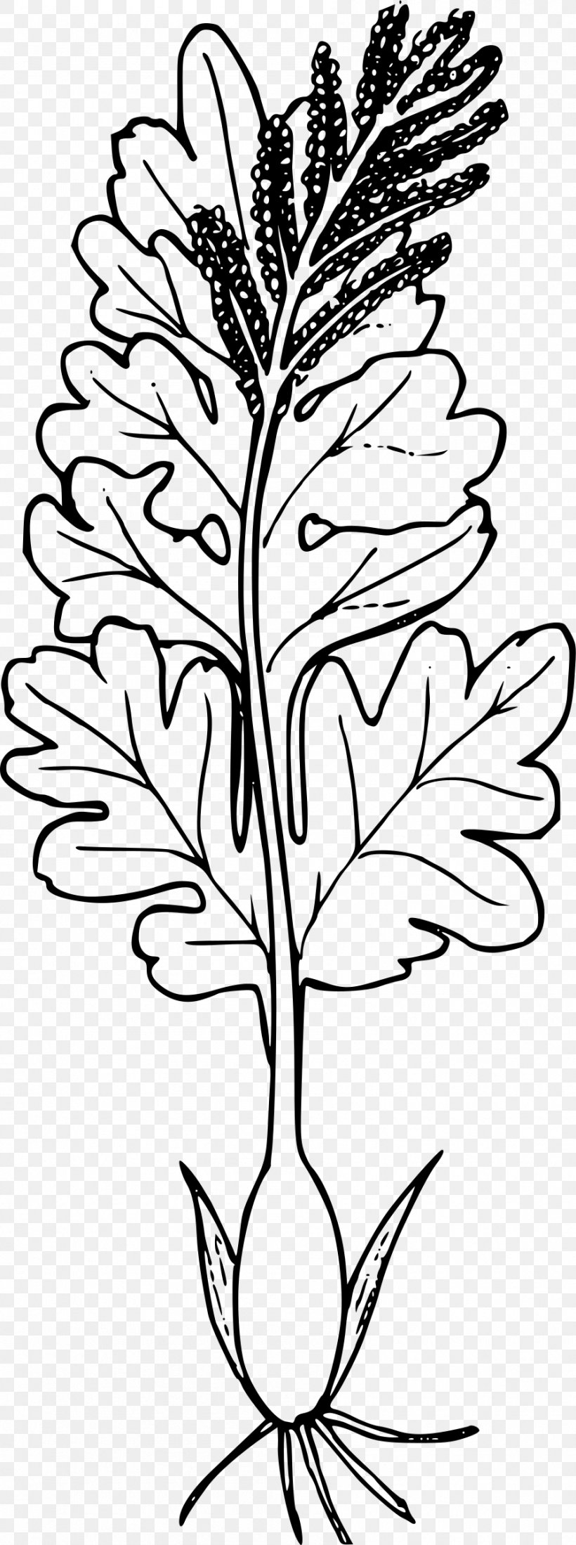 Twig Plant Clip Art, PNG, 895x2400px, Twig, Black And White, Branch, Flora, Flower Download Free
