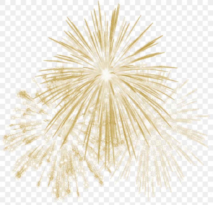 Fireworks Vector Graphics Image Transparency, PNG, 1024x987px, Fireworks, Dandelion, Flower, Gold, New Year Download Free