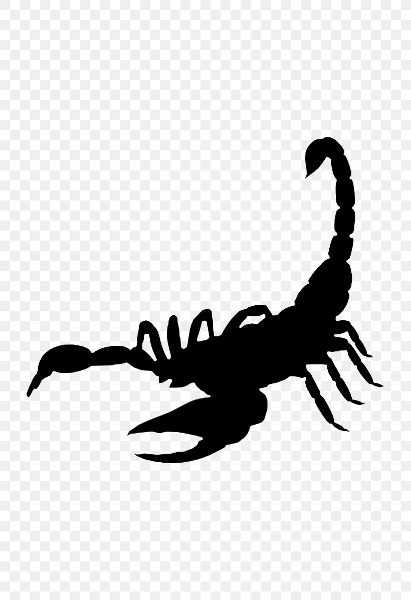 Scorpion American Lobster Crab Crayfish Lobster, PNG, 736x1197px, Scorpion, American Lobster, Claw, Crab, Crayfish Download Free