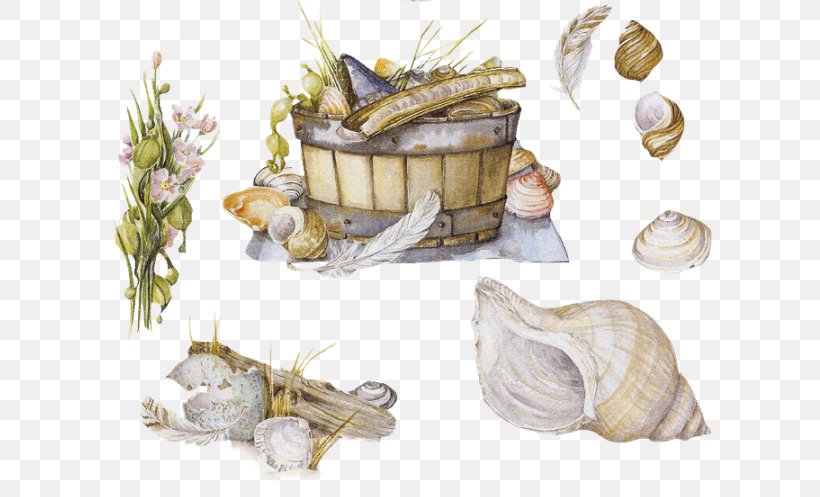 Seashell Molluscs Mollusc Shell Cuisine Shellfish, PNG, 627x497px, Seashell, Brioche, Carapace, Clams Oysters Mussels And Scallops, Cuisine Download Free