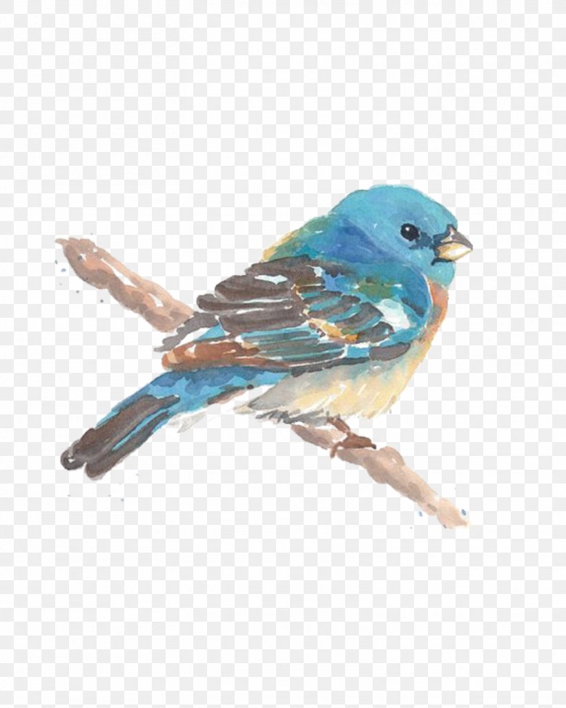 Watercolor Painting Bird Drawing Image, PNG, 1564x1955px, Watercolor Painting, Art, Beak, Bird, Bluebird Download Free