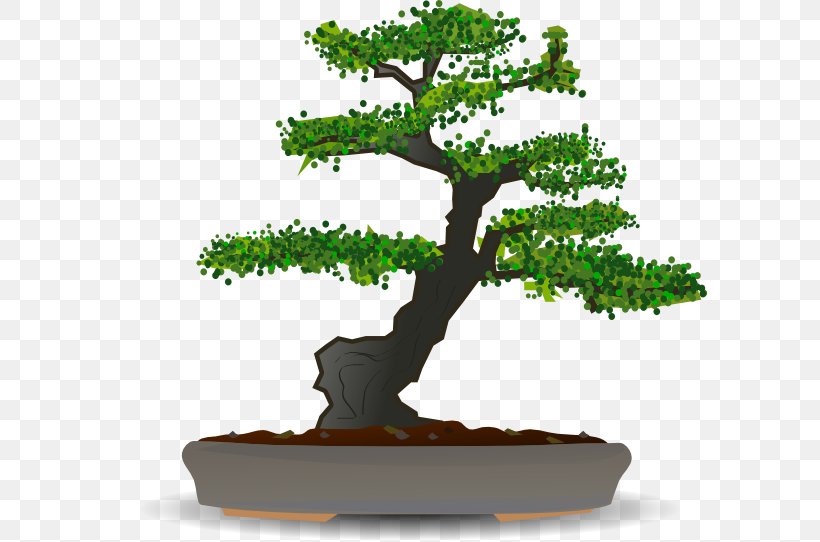 Bonsai Tree Clip Art, PNG, 600x542px, Bonsai, Flowerpot, Garden, Gardening, Houseplant Download Free