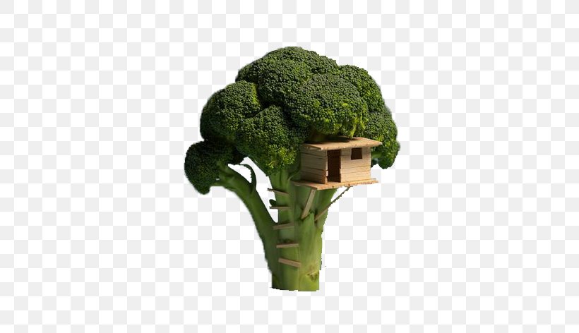 Broccoli Tree House Food Veggie Burger, PNG, 650x472px, Broccoli, Bowl, Bread, Colossal, Cooking Download Free