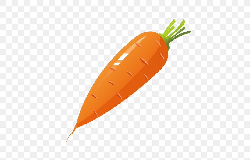 Carrot Cake Vegetable, PNG, 505x527px, Carrot, Cake, Carrot Cake, Food, Kitchen Garden Download Free