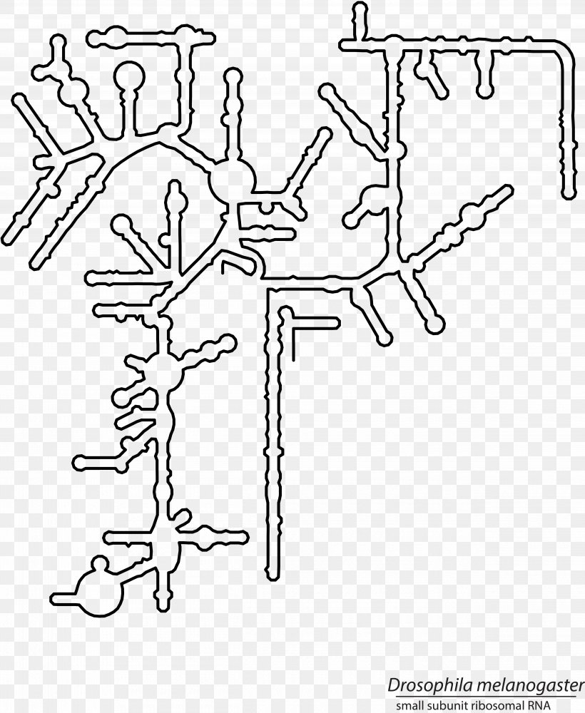 Drawing Car Line Art, PNG, 5000x6103px, Drawing, Animal, Area, Artwork, Auto Part Download Free