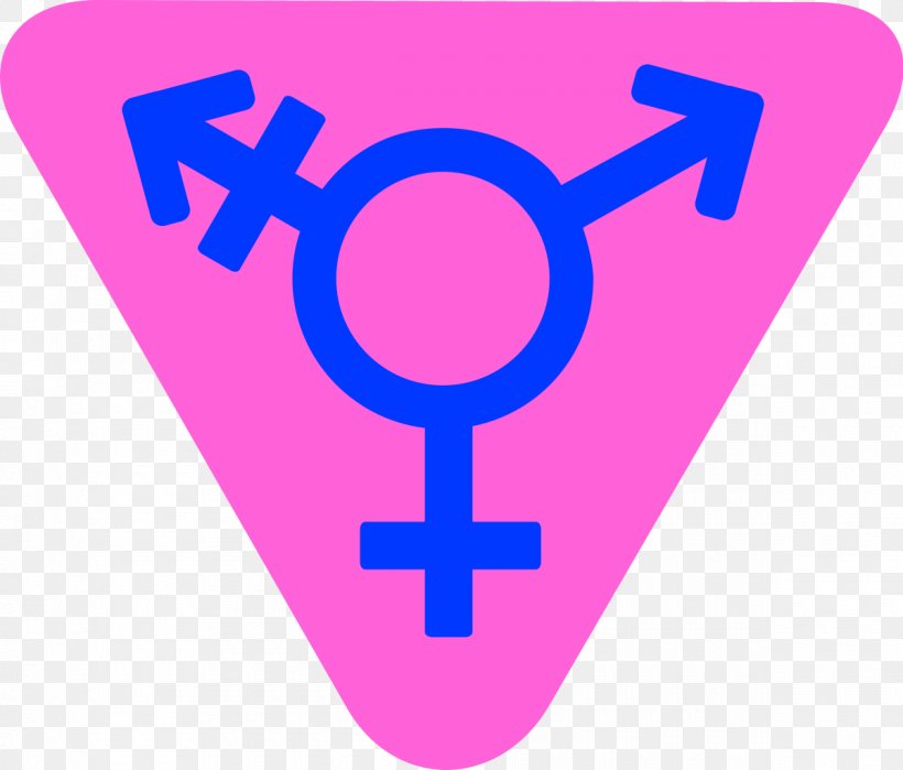Transgender Transsexualism Gender Identity Trans Woman Feminism, PNG, 1200x1023px, Watercolor, Cartoon, Flower, Frame, Heart Download Free