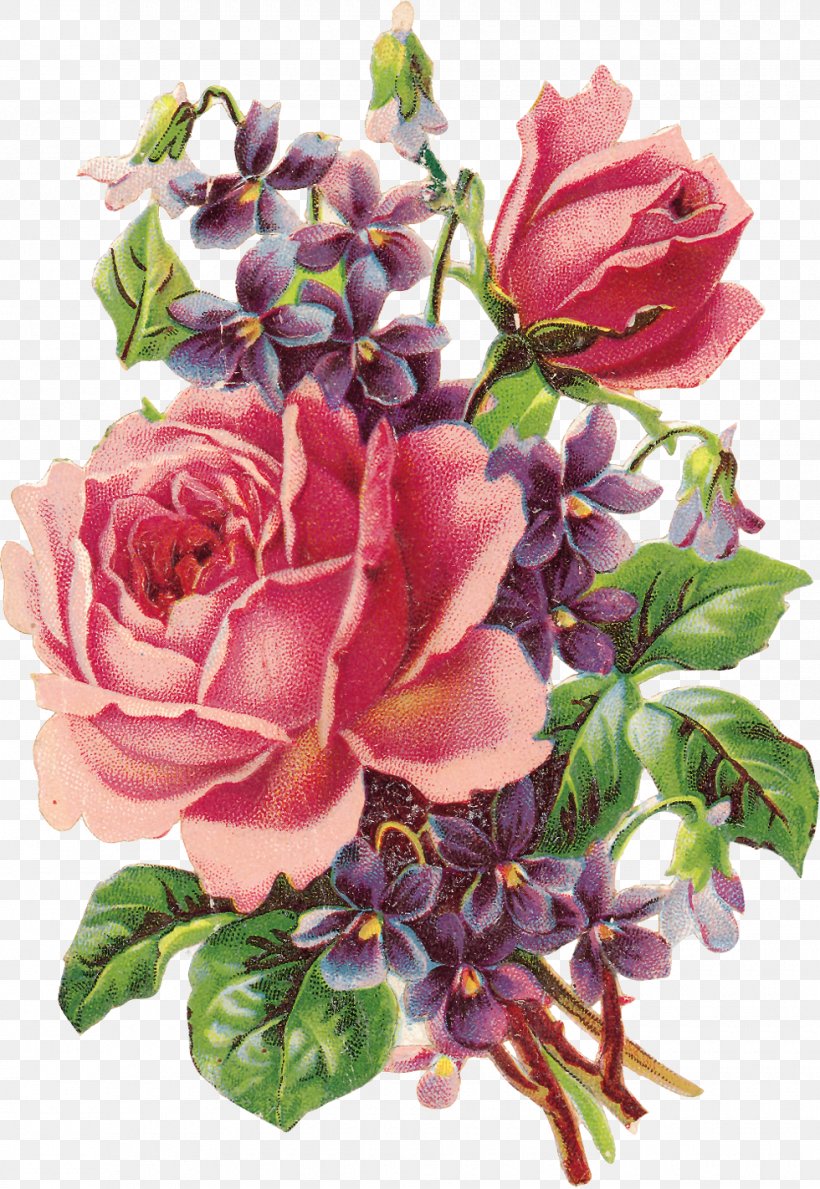 Vintage Roses: Beautiful Varieties For Home And Garden Violet Flower Clip Art, PNG, 980x1422px, Rose, Cut Flowers, Decoupage, Floral Design, Floristry Download Free