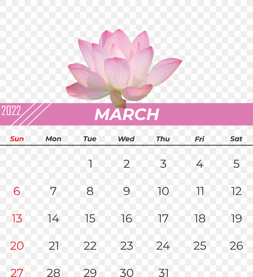 Calendar Flower Font Petal Pink M, PNG, 5545x6078px, Calendar, Conifer Cone, Flower, Meter, Petal Download Free