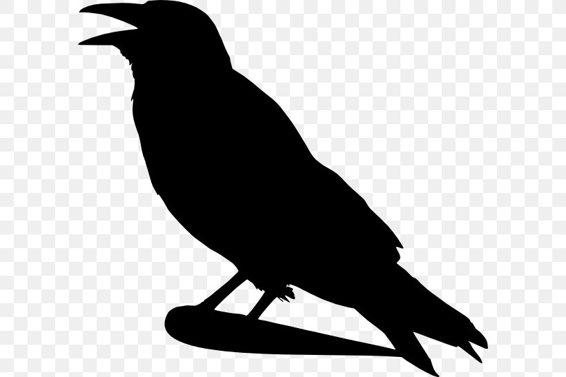 Crow Clip Art, PNG, 594x547px, Crow, American Crow, Beak, Bird, Black And White Download Free